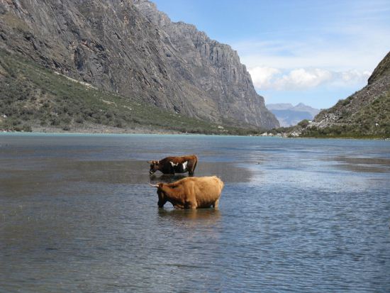 Jezero LLanganuco