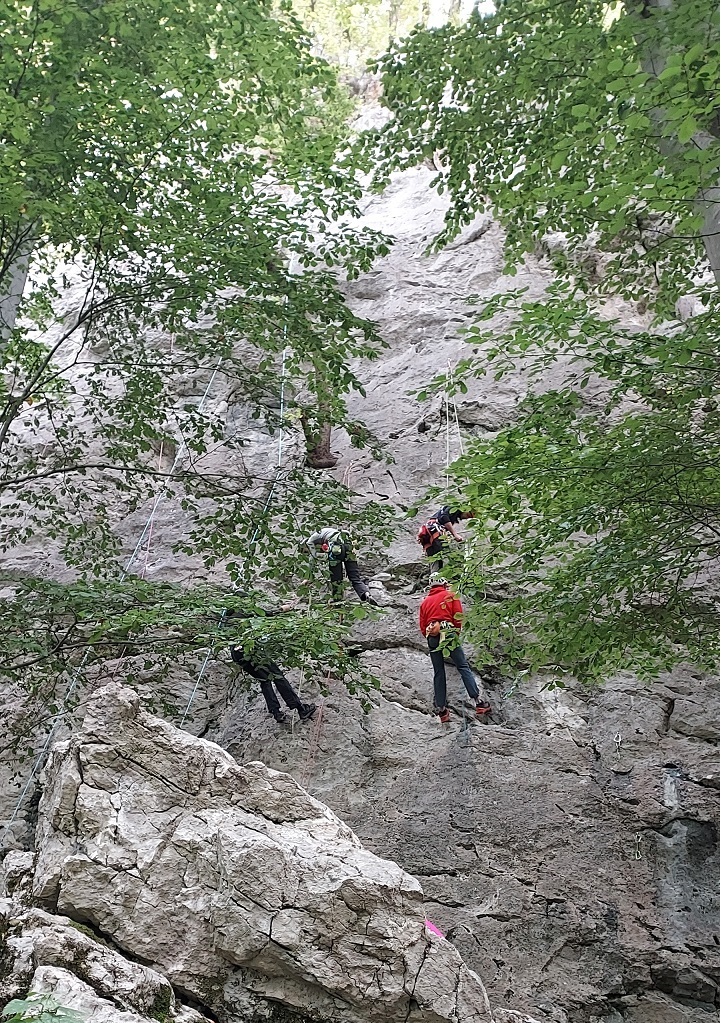 Izpit za mlajšega in starejšega pripravnika