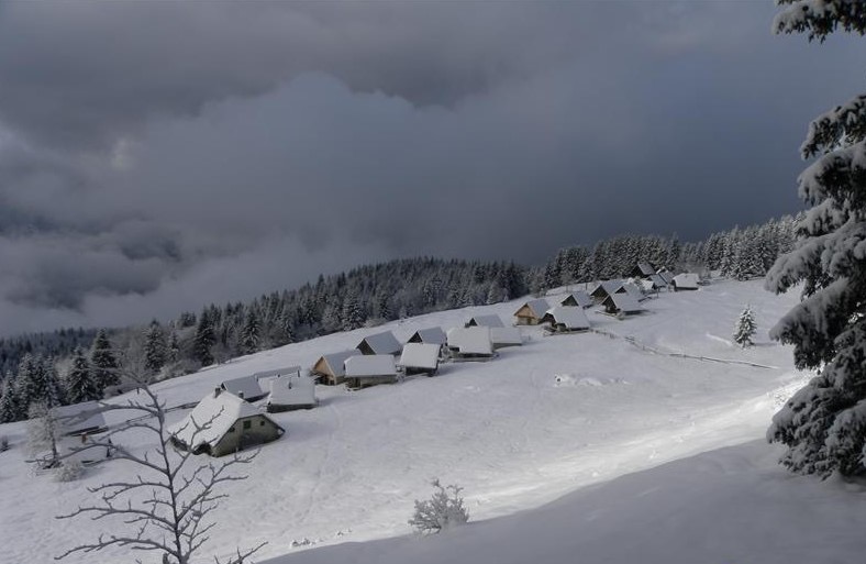 Planina Zajamniki, 15.02.2025