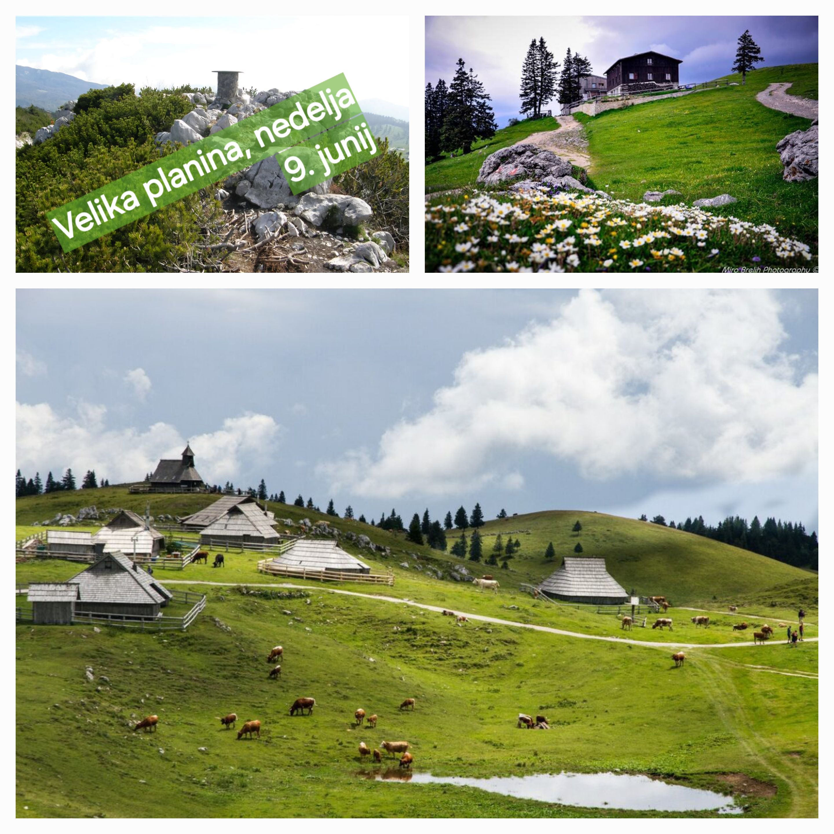 Velika planina 9.6.2024